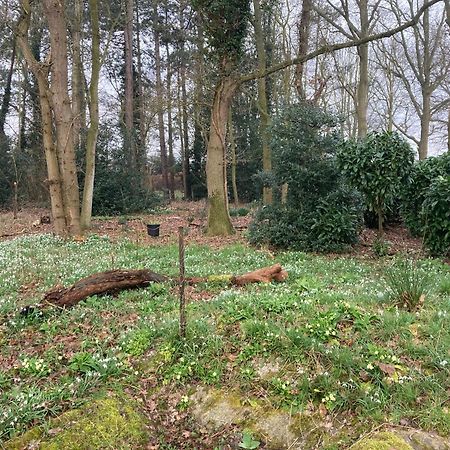 Woodland Retreat, Market Lane, Blundeston, Lowestoft エクステリア 写真