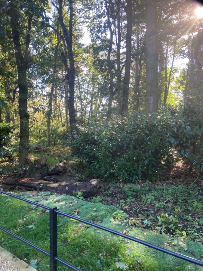 Woodland Retreat, Market Lane, Blundeston, Lowestoft エクステリア 写真