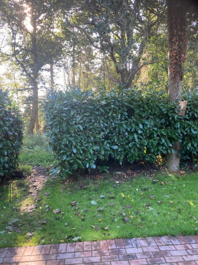 Woodland Retreat, Market Lane, Blundeston, Lowestoft エクステリア 写真
