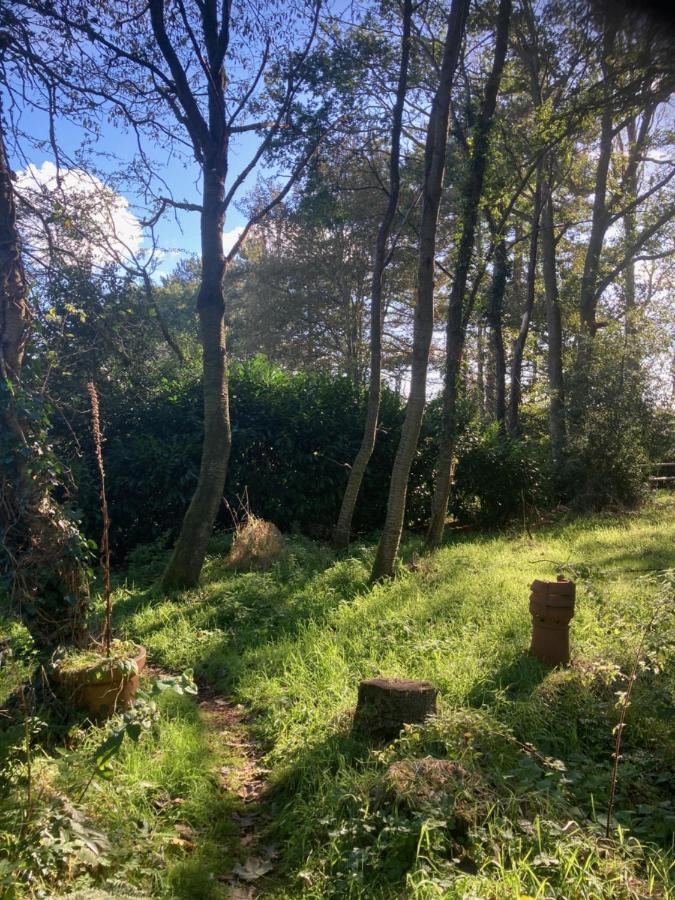 Woodland Retreat, Market Lane, Blundeston, Lowestoft エクステリア 写真