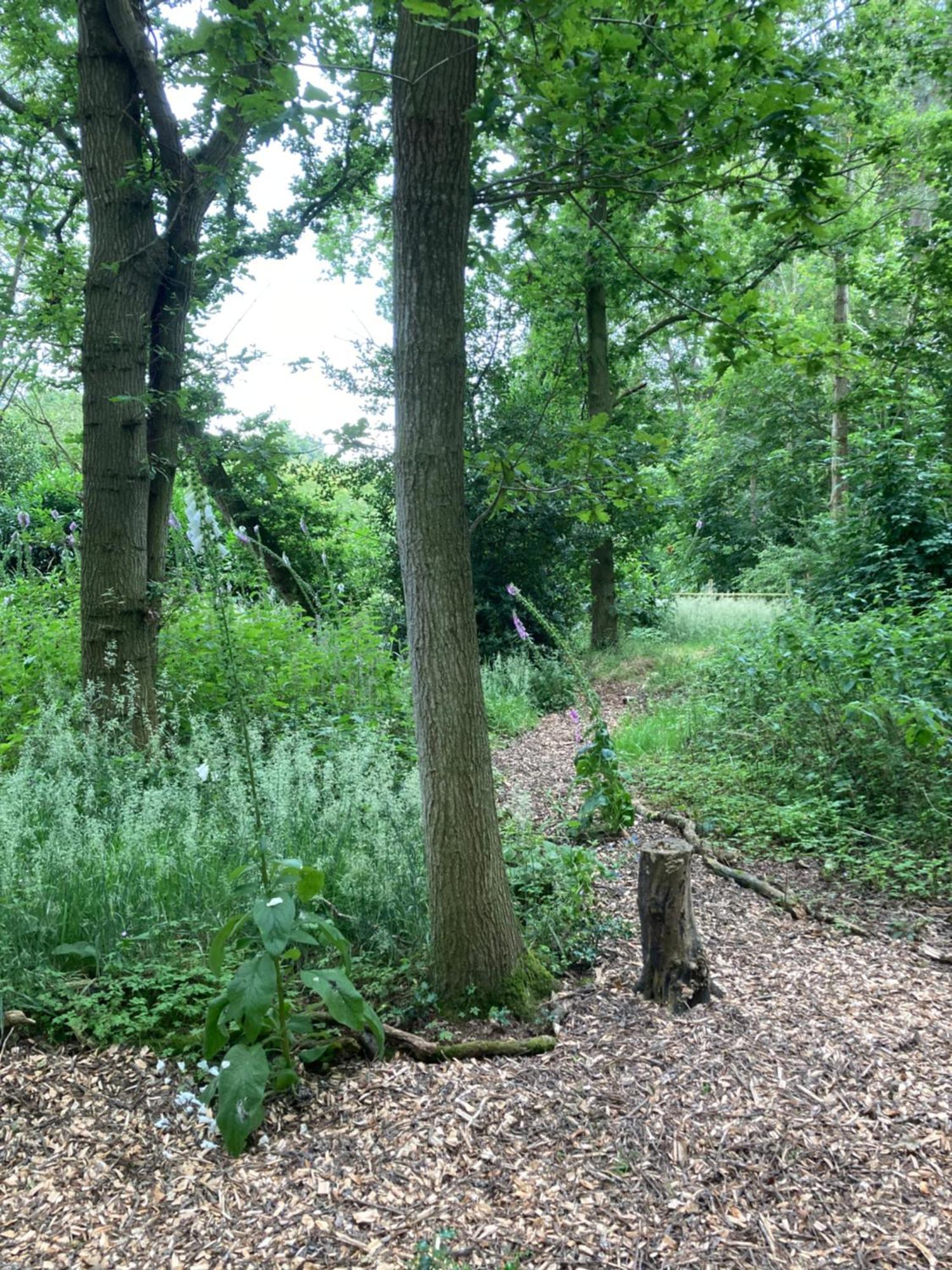 Woodland Retreat, Market Lane, Blundeston, Lowestoft エクステリア 写真